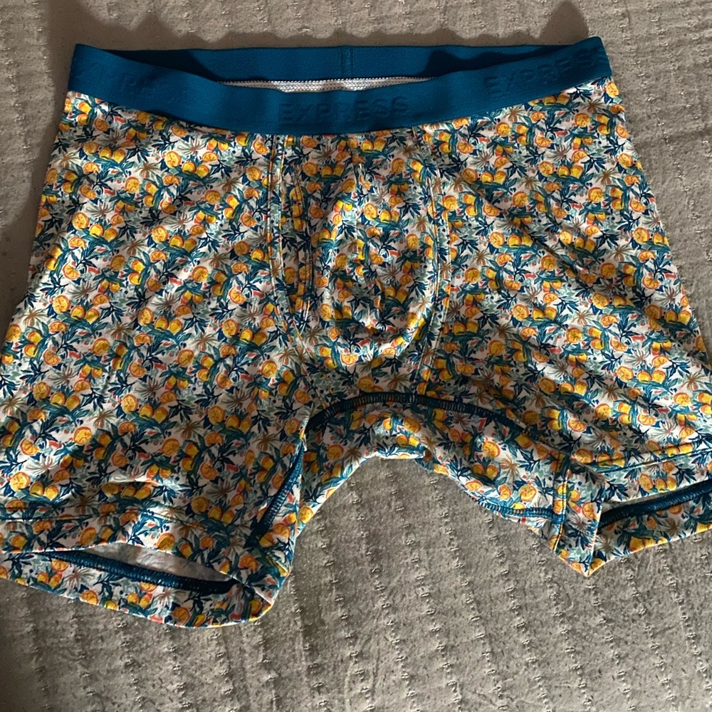 Express Mens Boxer Brief Large